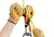 rig_3.jpeg