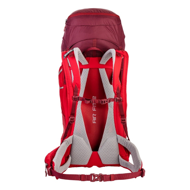 alp trainer 2.jpg