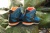 litepeak blue2.jpg