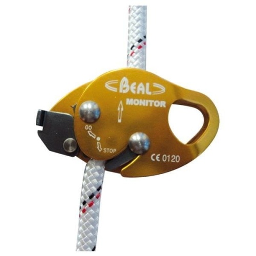 beal monitor.jpg