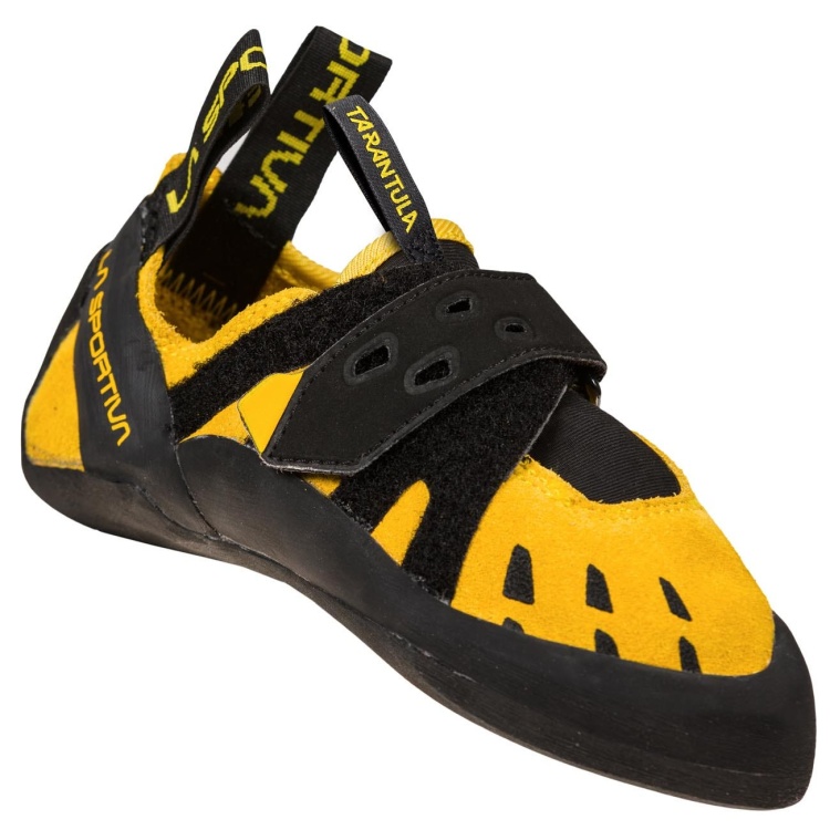 tarantula junior3.jpg