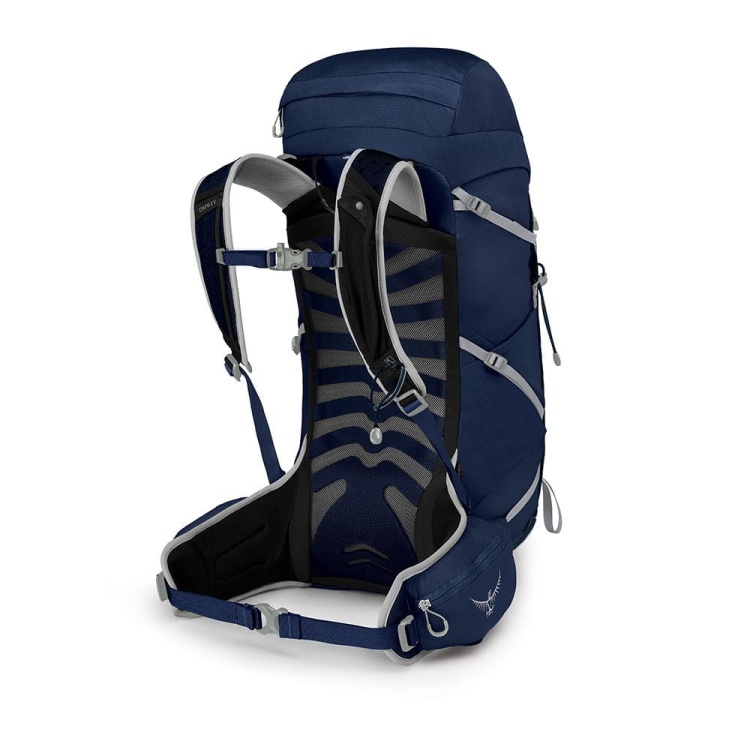talon 33 ceramic blue2.jpg
