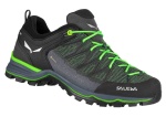 Buty Męskie Salewa MTN Trainer Lite Gore-Tex myrtle/ombre blue