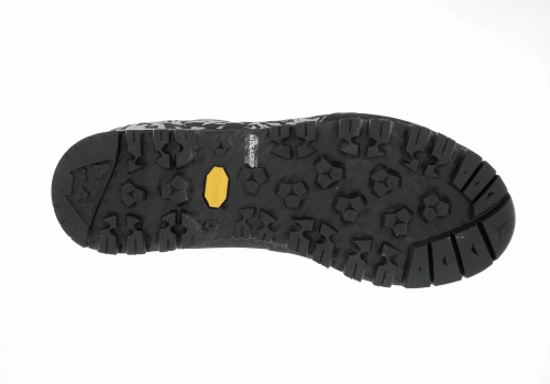 salathe grey3.png