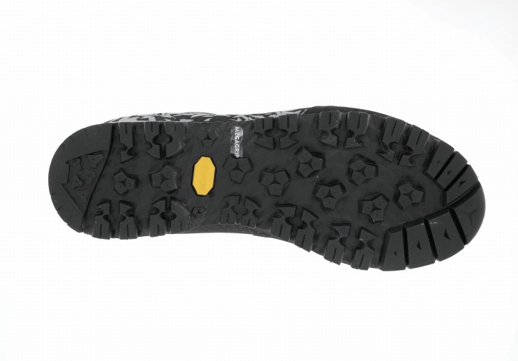 salathe grey3.png