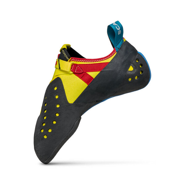 furia s parrot 4.png