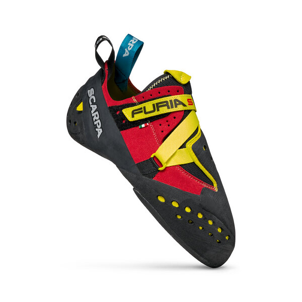 furia s parrot 2.png