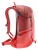 3400021-5589-Futura21SL_caspia_currant-D-02.png