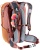 3204223-9512-Race16_chestnut_redwood-D-11.png