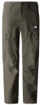 Spodnie Męskie The North Face Exploration TPR new taupe green