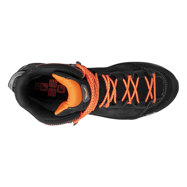 00-0000061397_0876_BACK (4).png
