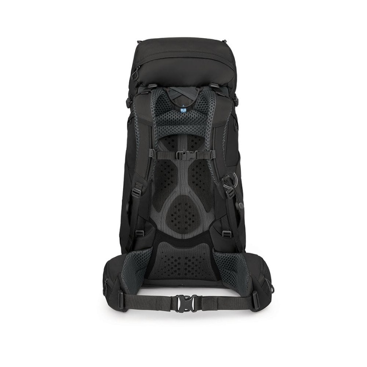 kestrel black3.jpg