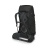 kestrel black back.jpg