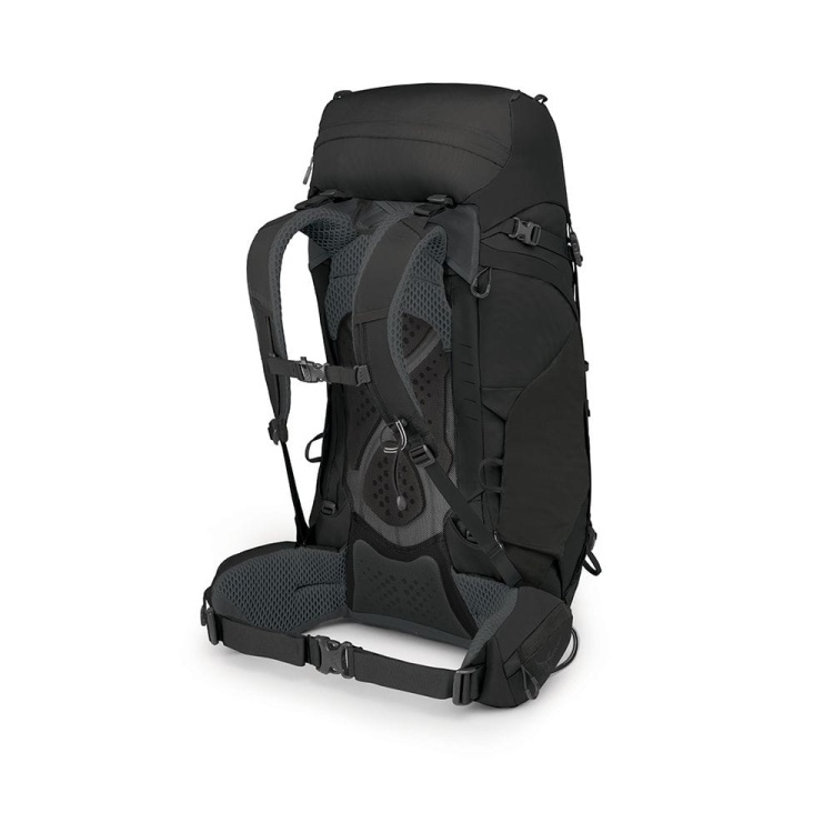 kestrel black back.jpg