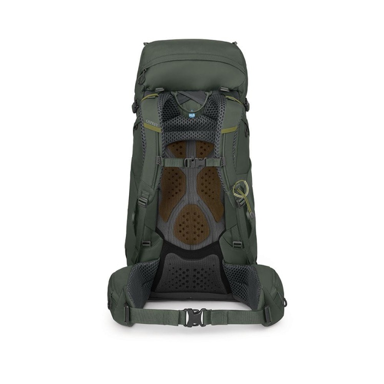 kestrel 48 bonsai green4.jpg