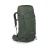 kestrel 48 bonsai green.jpg