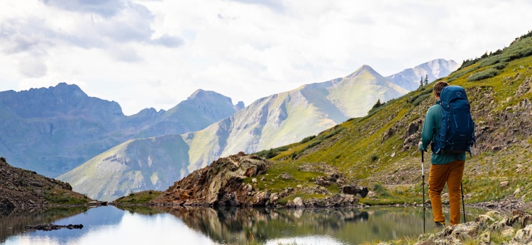 kestrel background.jpg