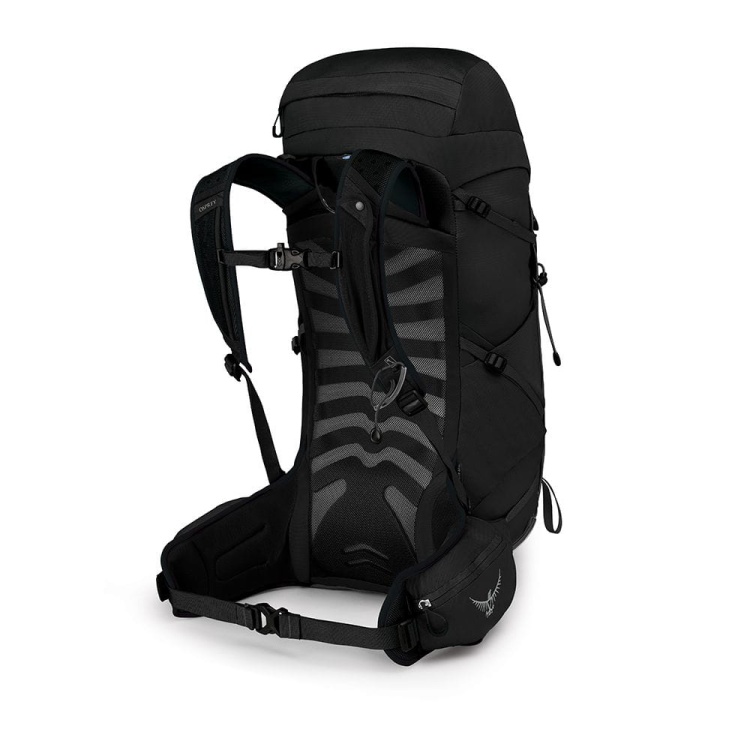 TALON 33 STEALTH BLACK 2.jpg