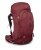 aura 65 berrysorbetred.jpg