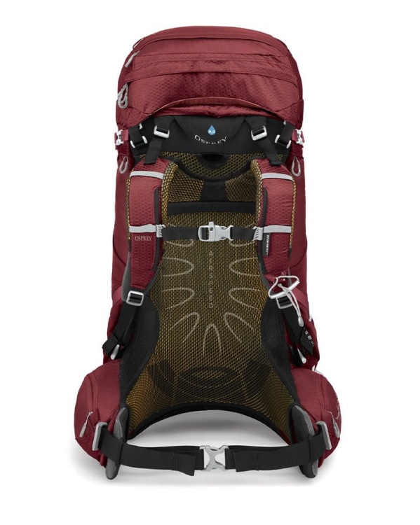 aura 65 berrysorbetred 3.jpg