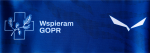 Opaska Salewa Headband Wspieram GOPR blue