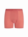 Bokserki Męskie Icebreaker Anatomica Boxer plume