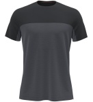 Koszulka Męska Icebreaker 125 Cool-Lite Sphere Colour Block graphite heather/black