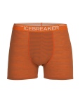 Bokserki Icebreaker ANATOMICA BOXER spice/mink