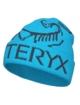 Czapka Arcteryx Bird Word Toque aquaculture/black sapphire