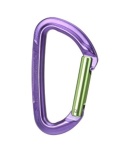 Karabinek Wild Country Session Straight Gate purple/green