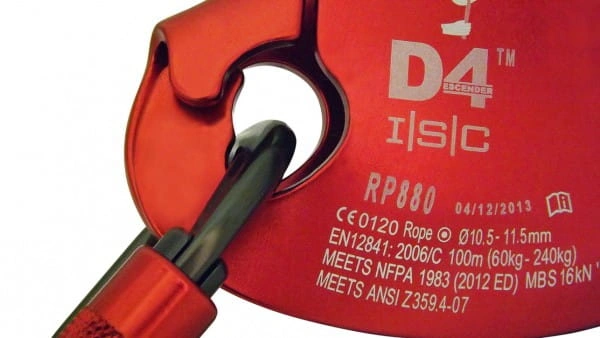 d4 3.jpg