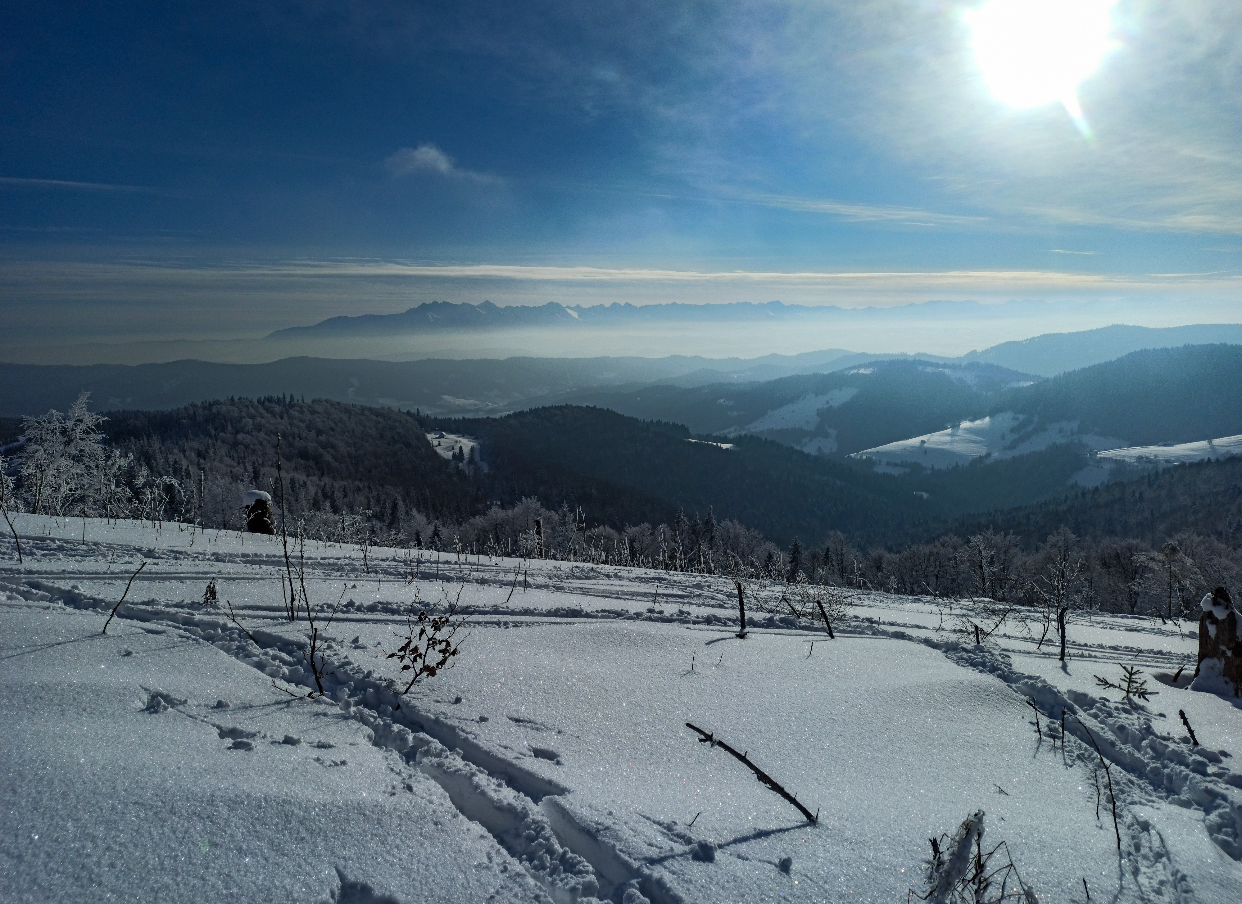 Widoki na podejściu pod Gorc